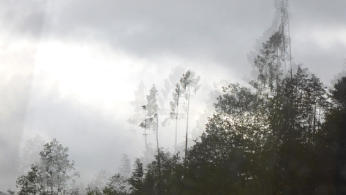 Reflections; Publicdomain; Cc0; Freeimage;.jpg