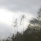 Reflections; Publicdomain; Cc0; Freeimage;