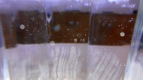 Reflections; Publicdomain; Cc0; Freeimage;.jpg