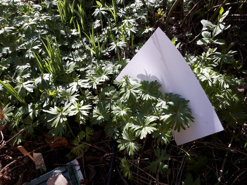 Motive; Publicdomain; Cc0; Freeimage;.jpg