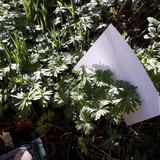 Motive; Publicdomain; Cc0; Freeimage;