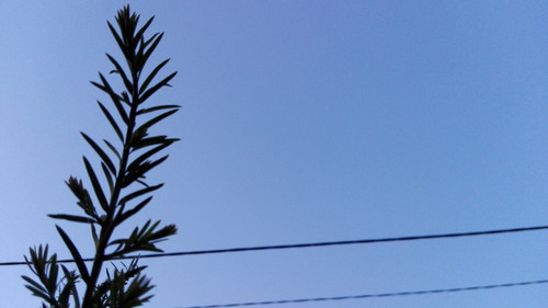 Motive; Publicdomain; Cc0; Freeimage;.jpg