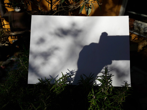 Motive; Publicdomain; Cc0; Freeimage;.jpg