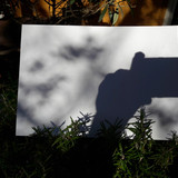 Motive; Publicdomain; Cc0; Freeimage;