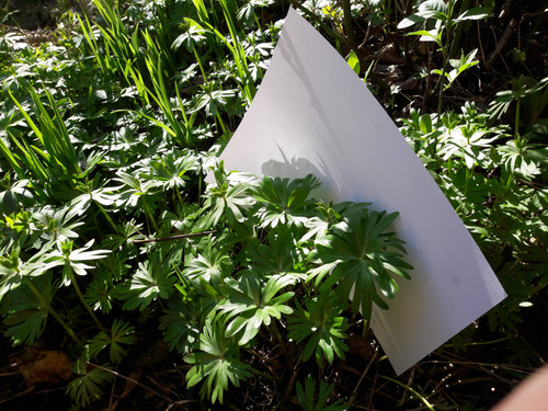 Motive; Publicdomain; Cc0; Freeimage;.jpg