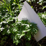 Motive; Publicdomain; Cc0; Freeimage;