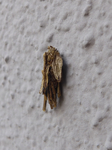 Motive; Publicdomain; Cc0; Freeimage;.jpg