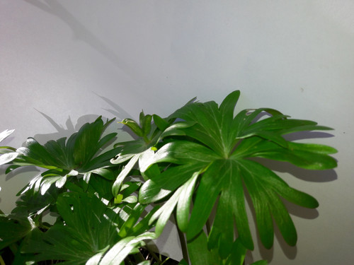 Motive; Publicdomain; Cc0; Freeimage;.jpg