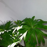 Motive; Publicdomain; Cc0; Freeimage;