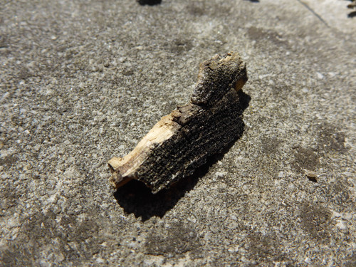 Motive; Publicdomain; Cc0; Freeimage;.jpg