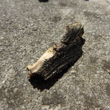 Motive; Publicdomain; Cc0; Freeimage;