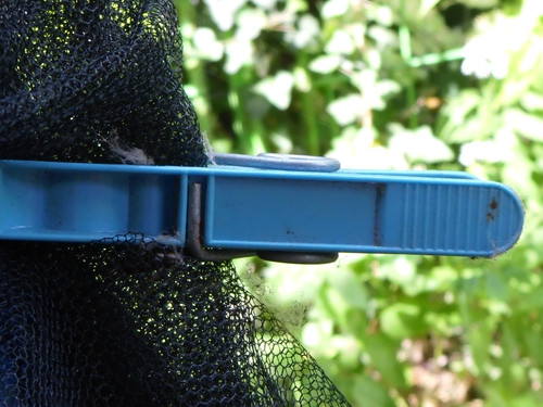 Motive; Publicdomain; Cc0; Freeimage;.jpg