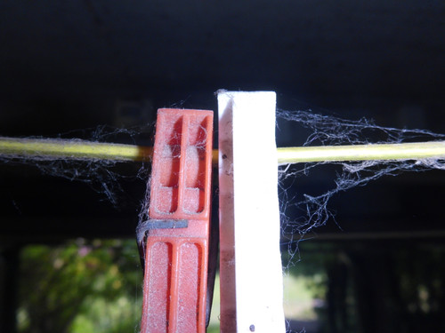 Object Detail Thing Publicdomain (72).jpg