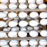 Object Detail Thing Publicdomain (76)