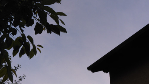 Sky; Publicdomain; Cc0; Freeimage;.jpg