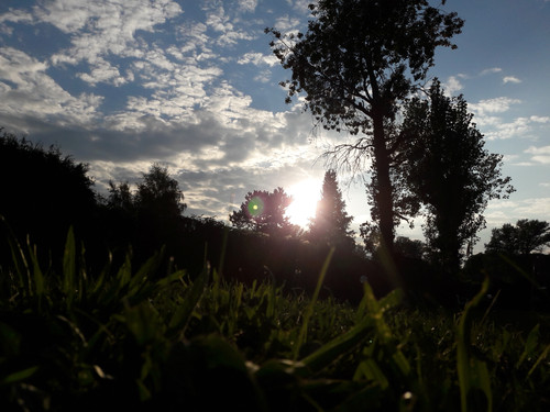 Lens Reflection Garden Macro.jpg