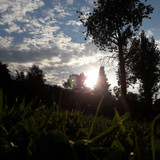 Lens Reflection Garden Macro