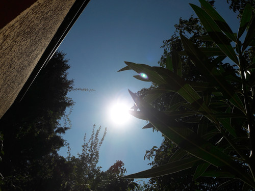 Freedom Nature Vector.jpg