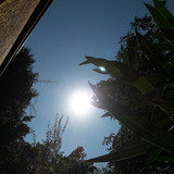 Freedom Nature Vector