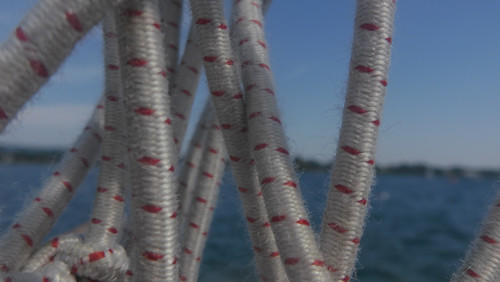 Motive; Publicdomain; Cc0; Freeimage;.jpg