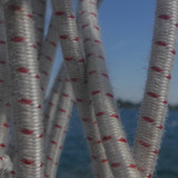 Motive; Publicdomain; Cc0; Freeimage;