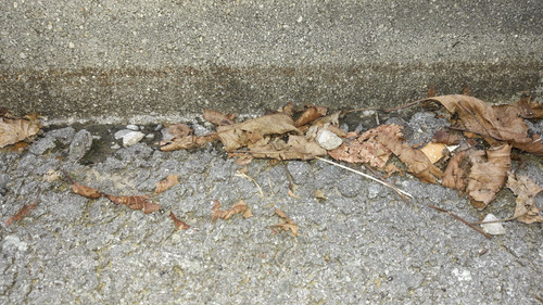 Motive; Publicdomain; Cc0; Freeimage;.jpg