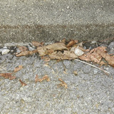 Motive; Publicdomain; Cc0; Freeimage;