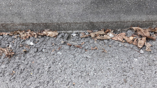 Motive; Publicdomain; Cc0; Freeimage;.jpg