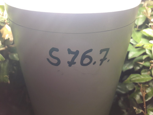 Motive; Publicdomain; Cc0; Freeimage;.jpg