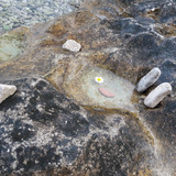 Motive; Publicdomain; Cc0; Freeimage;