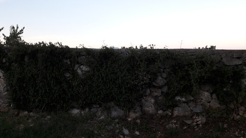 Motive; Publicdomain; Cc0; Freeimage;.jpg