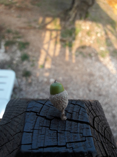 Motive; Publicdomain; Cc0; Freeimage;.jpg