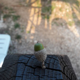 Motive; Publicdomain; Cc0; Freeimage;