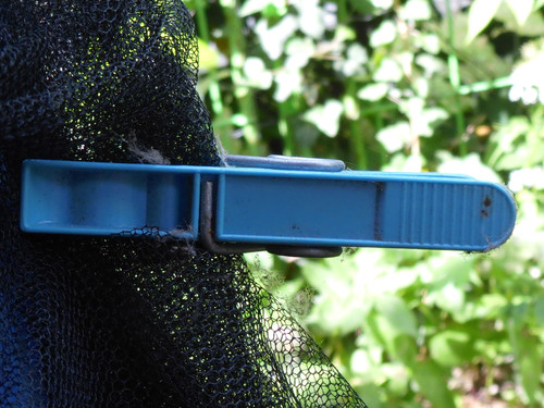 Motive; Publicdomain; Cc0; Freeimage;.jpg