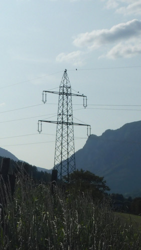 Motive; Publicdomain; Cc0; Freeimage;.jpg