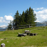 Motive; Publicdomain; Cc0; Freeimage;