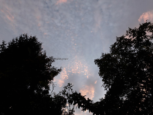 Sky; Publicdomain; Cc0; Freeimage;.jpg