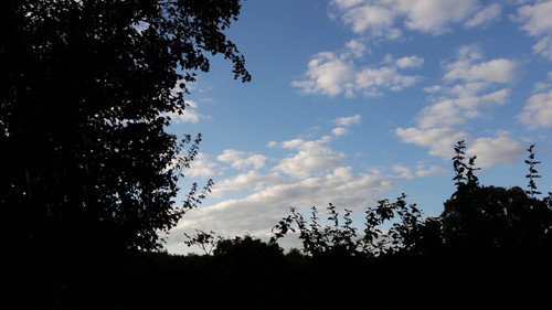 Sky; Publicdomain; Cc0; Freeimage;.jpg