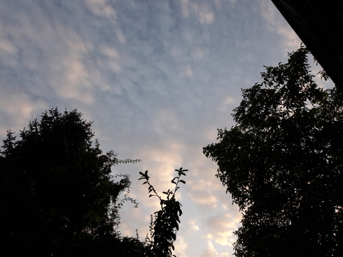 Sky; Publicdomain; Cc0; Freeimage;.jpg