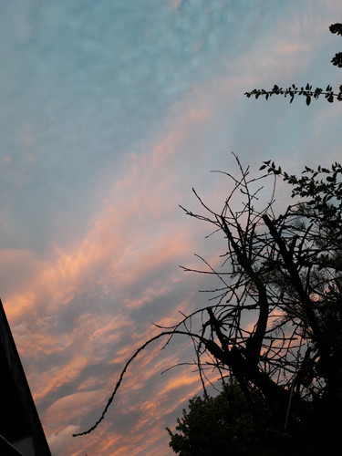 Sky; Publicdomain; Cc0; Freeimage;.jpg