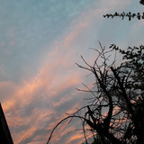 Sky; Publicdomain; Cc0; Freeimage;