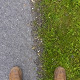 Motive Detail Theme Meaning Topic Publicdomain (70)