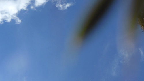 Motive; Publicdomain; Cc0; Freeimage;.jpg