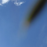 Motive; Publicdomain; Cc0; Freeimage;