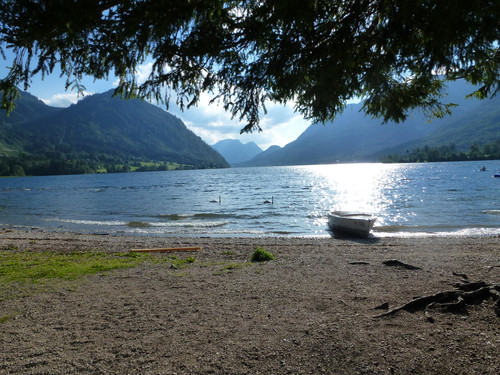 Motive; Publicdomain; Cc0; Freeimage;.jpg