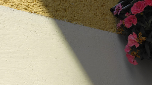 Motive; Publicdomain; Cc0; Freeimage;.jpg