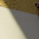 Motive; Publicdomain; Cc0; Freeimage;