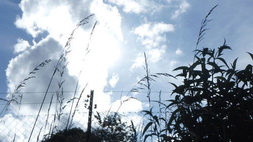 Motive; Publicdomain; Cc0; Freeimage;.jpg