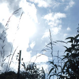 Motive; Publicdomain; Cc0; Freeimage;