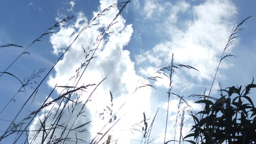 Motive Detail Theme Meaning Topic Publicdomain (71).jpg